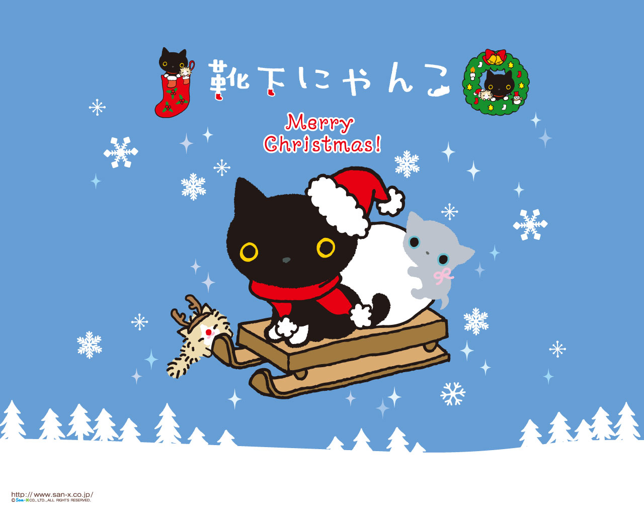 靴下にゃんこｗ イエネコぷちの奮闘記