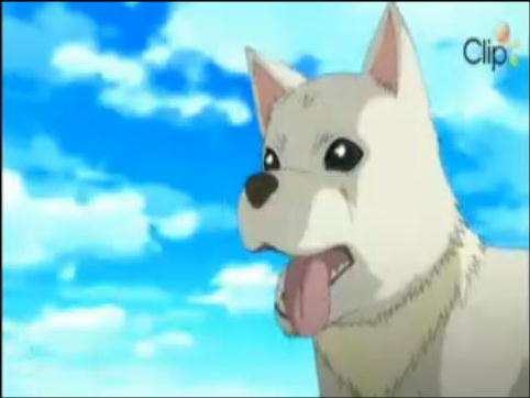 ぬらりひょんの孫 最終話 イナズマイレブン大好き