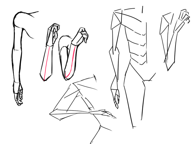 腕の描き方考察 Hatorizeのブログ