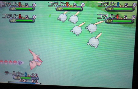 どんぐりのブログ