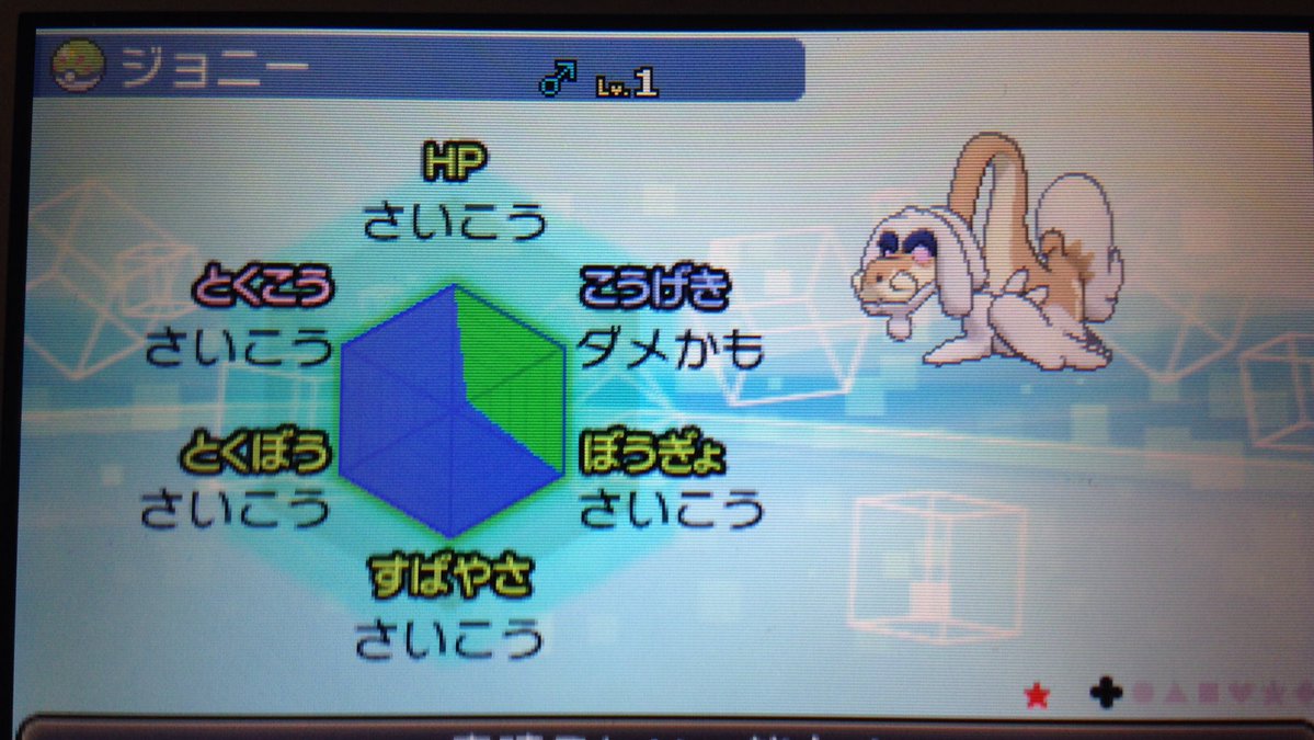 どんたこすのブログ