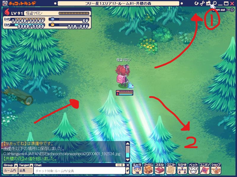 サウスガルド 共棲の郷スティナ開通手順 マロンのブログ